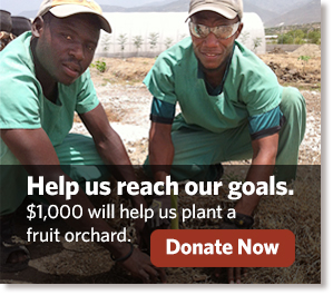 help-us-reach-our-goals-reforestation