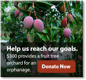 Sustaility Outreach Edible Plant Nursery Love A Child Why Fruit Tree Farming Is Important For Haiti