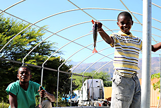 Another sustainability project - Love A Child's Tilapia Fish Farm in Haiti