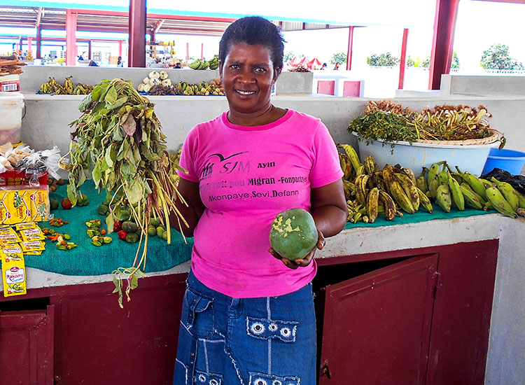 Teaching Haitians to Help Themselves and Other Haitians