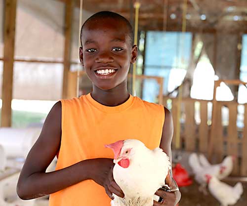 We thank you for your time and continued support to help us hatch happy kids at the Love A Child Chicken Farm!