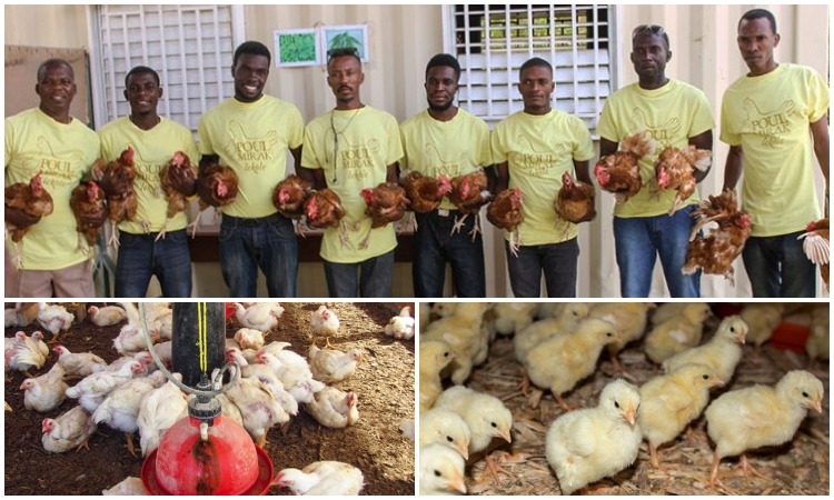 Love A Child Chicken School: 4-26-19 3:15 PM