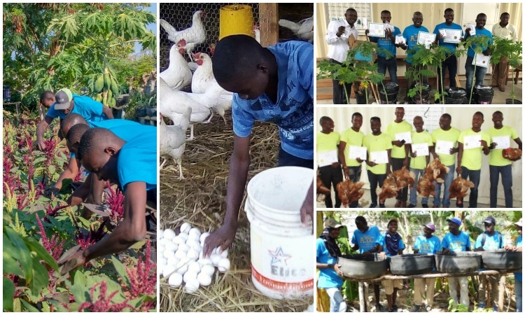 Sustainability Training Classes