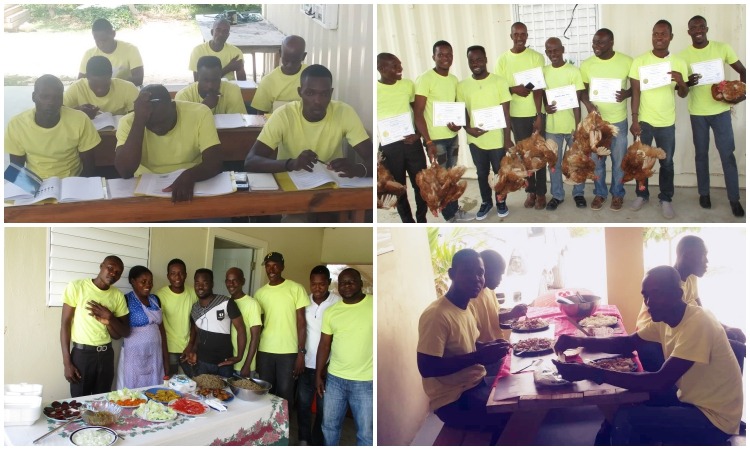 Poul Mirak Chicken School