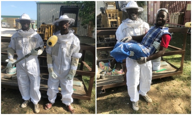Haitians Don’t Like Bees!