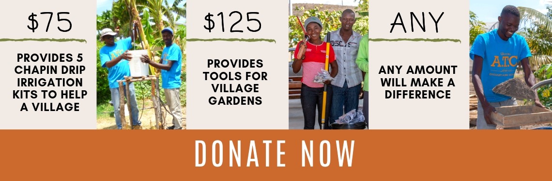 Ways-You-Can-Help-Haitian-Families-Today-Donate-to-Agricultural-Training