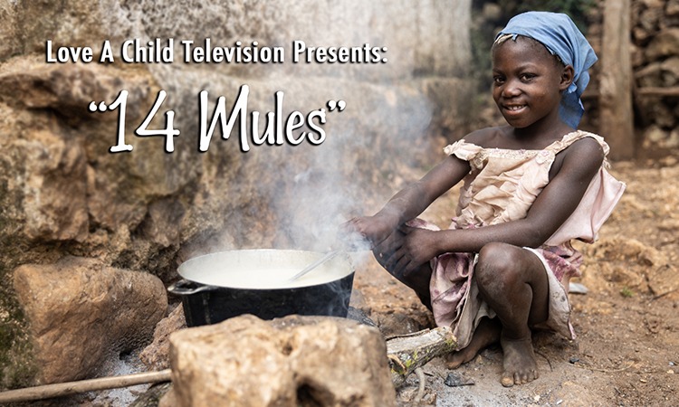 New TV Program Begins Tonight