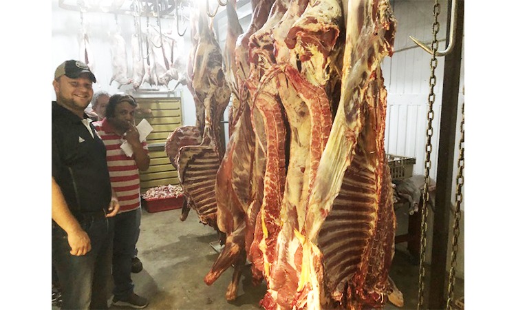 Miracle Market Meat